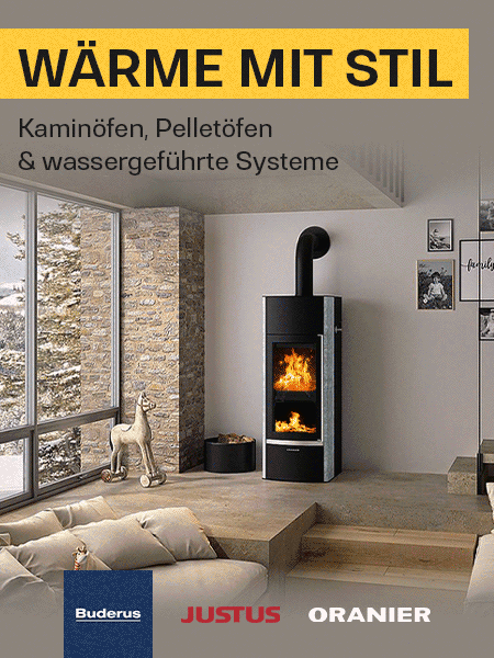 Holzheizung kaufen: Kaminofen / Pelletofen / Pelletkessel